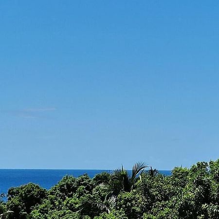 Joli T2 En Bas De Villa Vue Jardin Et Mer Vieux-Habitants Eksteriør billede